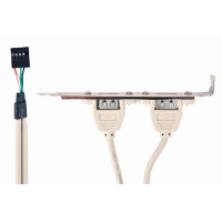 Адаптер 2xAF/10P - 2xUSB V 2.0 Gembird (CCUSBRECEPTACLE)