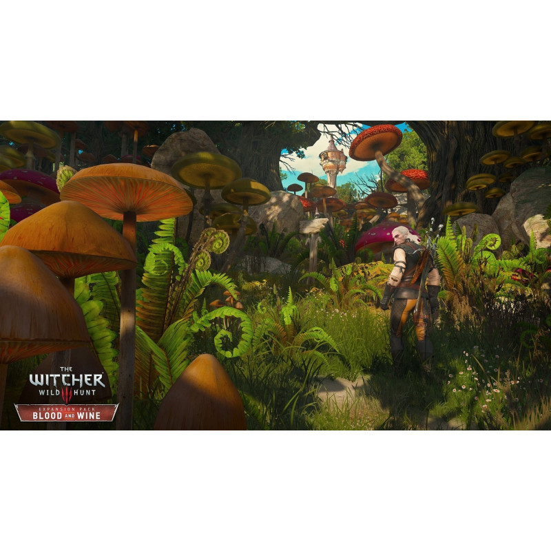 Гра The Witcher 3: Wild Hunt Complete Edition для Sony PlayStation 4, Russian version, Blu-ray (5902367640484) - фото 8